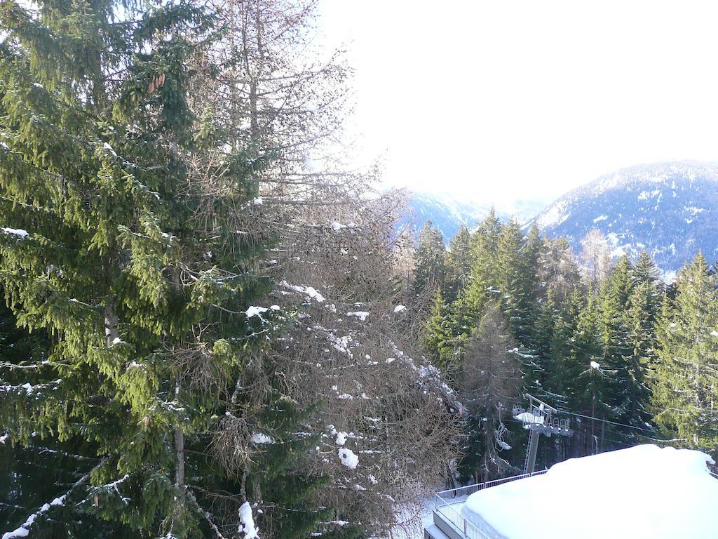 Sole Alto * Marilleva